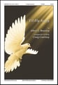 I'll Fly Away SATB choral sheet music cover